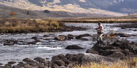 Fly fisherman casting into a river at Green River Valley in Wyoming Stock Footage 59218931