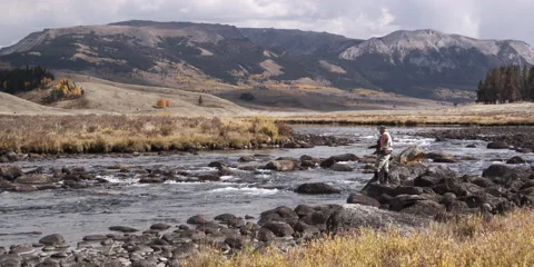 Fly fisherman casting into a river at Green River Valley in Wyoming Stock Footage 59218958