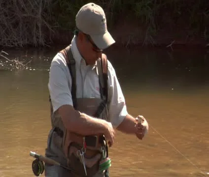 Fly fisherman changes fly with toolkit Stock Footage 21679716