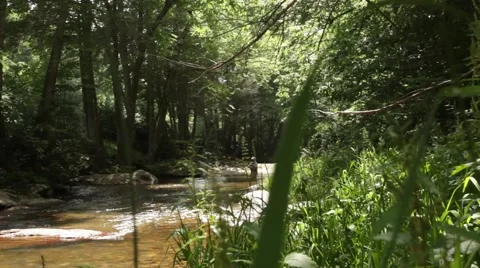 Fly Fisherman Video stock 51228708