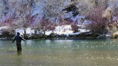 Fly Fisherman in River Stock Footage 10818367