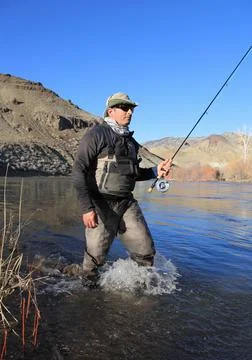 Fly fisherman wading Stock Photos