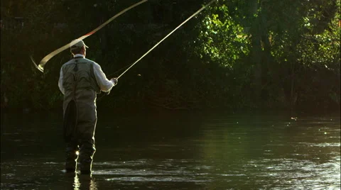 Fly Fishing Cast Stock Video Footage