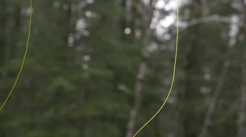 Fly Fishing Casting Stock Footage 65070673