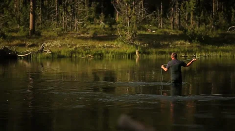 Fly fishing casting river near yellowstone Stock Footage 33754642