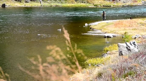 Fly Fishing Distant Stock Footage 49041120