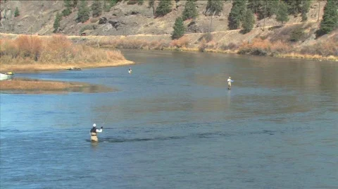  Fly Fishing Video stock 146245