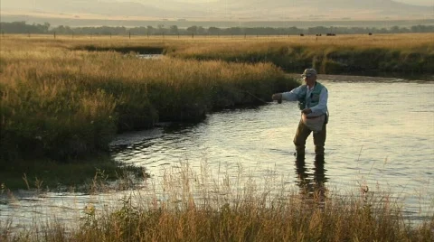 Fly Fishing Stock Footage 573748