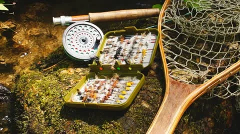 Fly Fishing Stock Footage 11110360