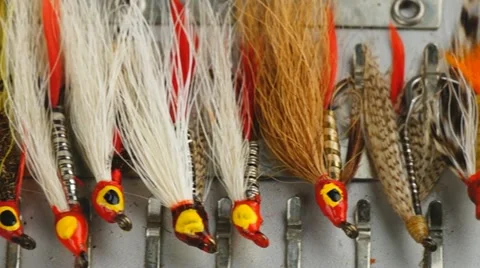 Fly Fishing Stock Footage 11133020