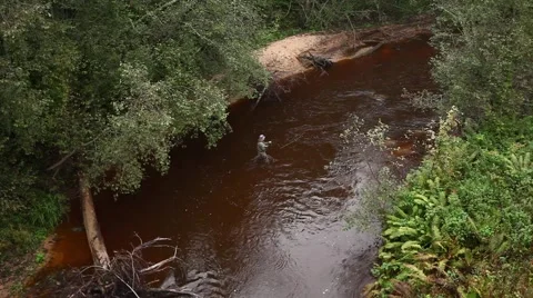 Fly fishing Video stock 49010510