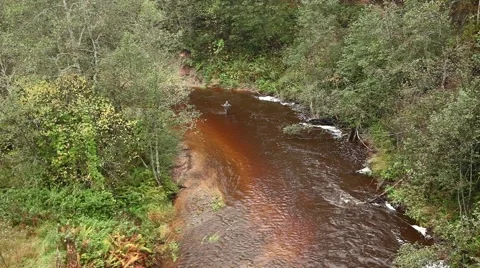 Fly fishing Video stock 49011398