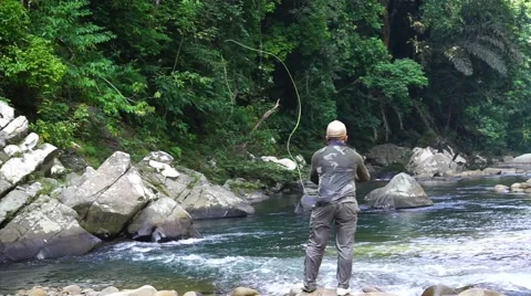 Fly fishing Stock Footage 54935287