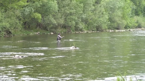 Fly fishing Stock Footage 77335198