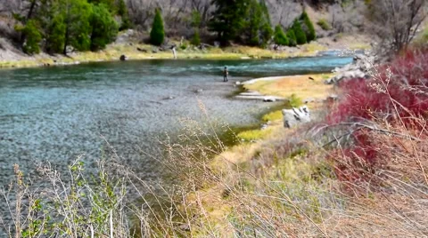 Fly Fishing Rack Focus Stock Footage 49040997