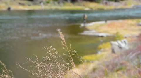 Fly Fishing Rack Focus Stock Footage 49041111