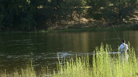 Fly fishing river casting summer morning wide shot Stock Footage 91753784