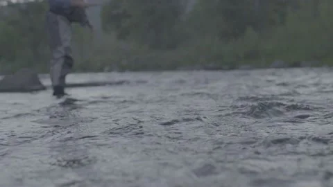 Fly Fishing Running River  Video stock 201577003