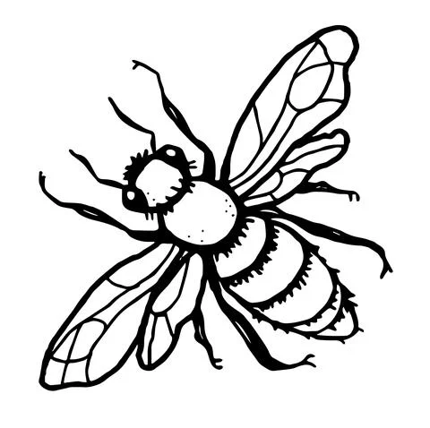 Fly. Flat outline image. vector illustration Stock Illustration