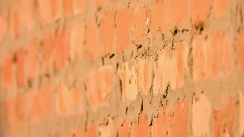 A fly flies near an old brick wall. Stock Footage 158314129