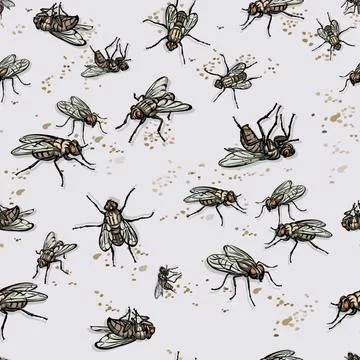 Fly, fly pattern, realistic image, color Stock Illustration