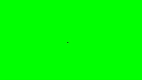 Fly Flying on Green Screen 01 Stock Footage 223801471