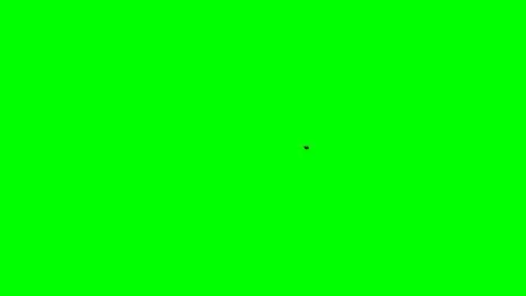 Fly Flying on Green Screen 스톡 동영상 223801472