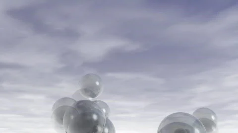 Fly Stock Footage 585666