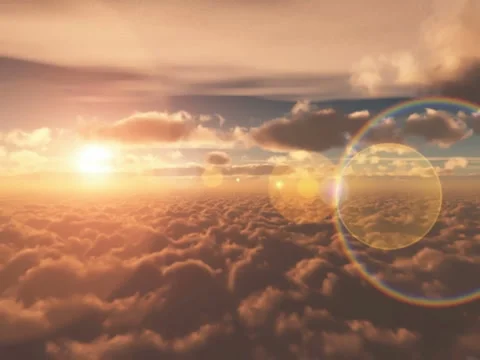 Fly Stock Footage 946673