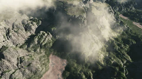 Fly Stock Footage
