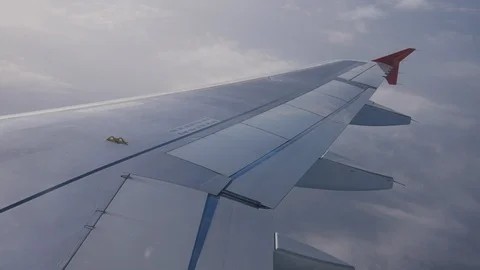 Fly 動画素材 105741046