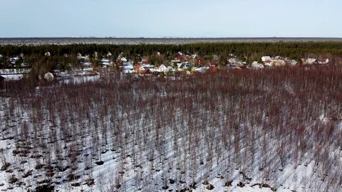 Fly Stock Footage 130085160