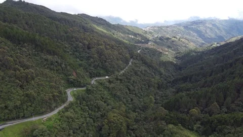 Fly 스톡 동영상 272179960