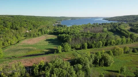 Fly Video stock 310145512