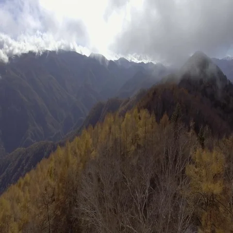 Fly forward above trees on high mountains Stock-Footage 69410673