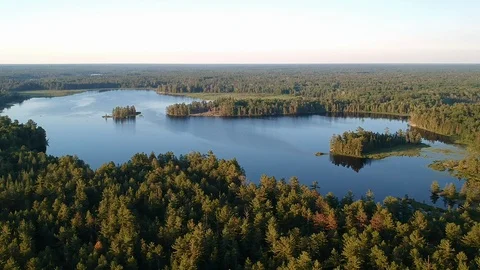 Fly forward and down to boreal pine forest and northern lake Stock Footage 112229738