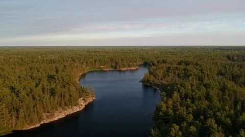 Fly forward high above norhern lake and endless boreal pine coniferous forest Stock Footage 112229265