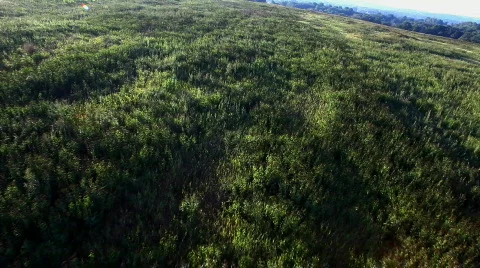 Fly forward on hot air balloon Video stock 824090
