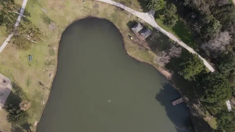 Fly forward from west to east over the lake while looking straight down Stock Footage 233129746
