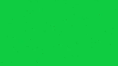 Fly FX Pack – 5 Green Screen Animations – – Insect VFX Elements Stock Footage 330621038