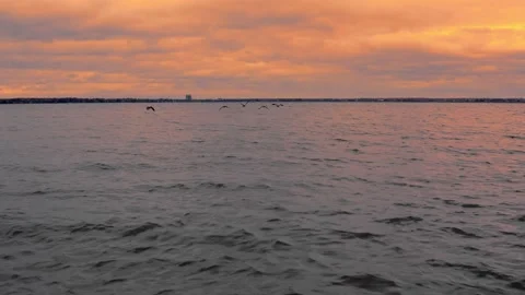 Fly with geese on the lake sunset Stock Footage 234132753