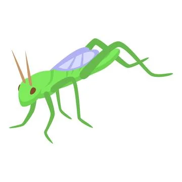 Fly grasshopper icon isometric vector. Locust pest Illustrazione stock