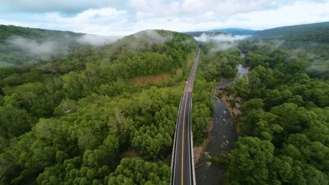 Fly in the green forest shrouded in clouds and mist after summer rains Stock Footage 313947424