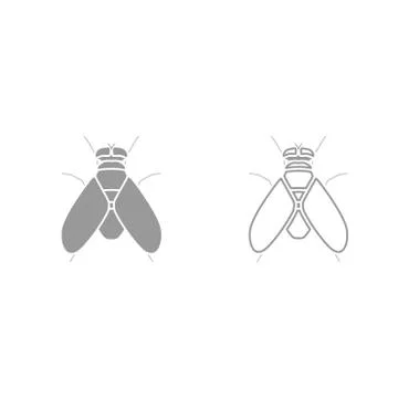 Fly grey set icon . Stock Illustration