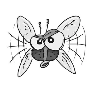 Fly hand drawn Stock Illustration