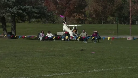 Fly high 動画素材 101767156