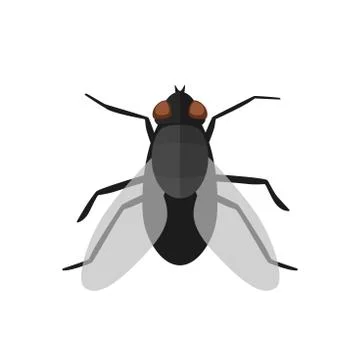Fly icon in flat style Stock Illustration