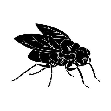 Fly icon vector Stock Illustration