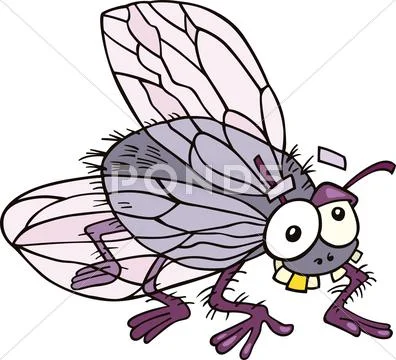 Fly Stock Illustration