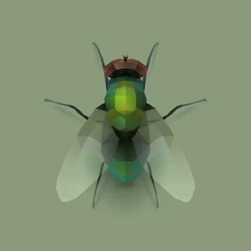 Fly Stock Illustration
